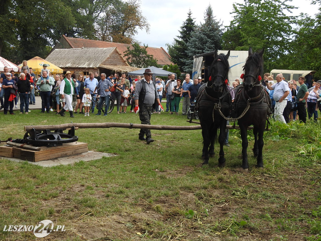 Dawno, dawno temu na wsi 2020