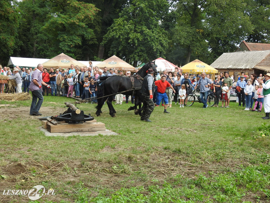 Dawno, dawno temu na wsi 2020