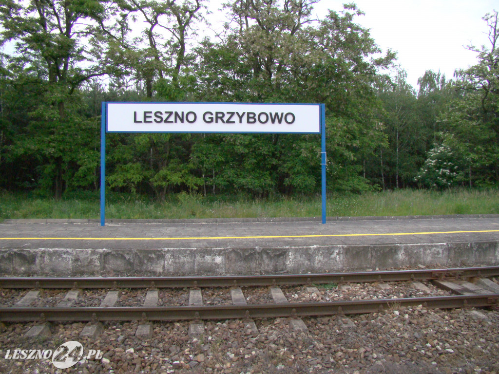 Linia kolejowa Leszno-Krzemieniewo