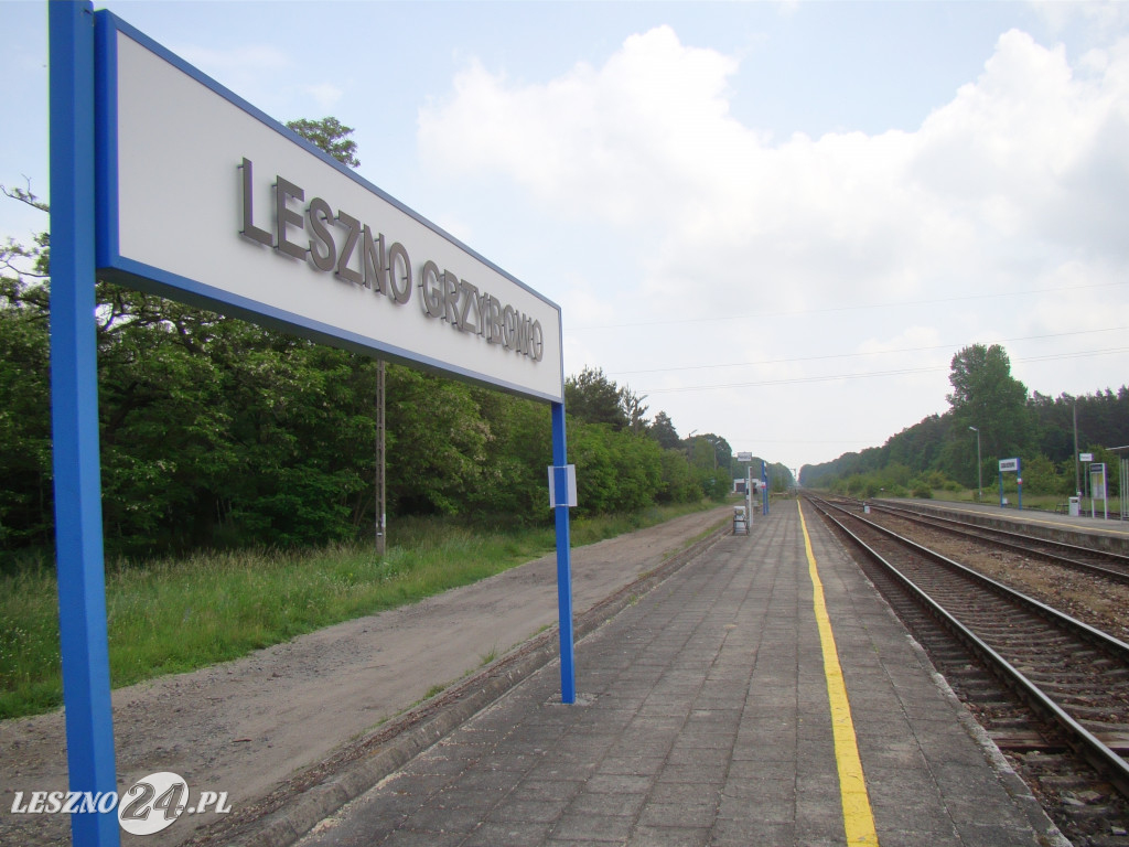 Linia kolejowa Leszno-Krzemieniewo
