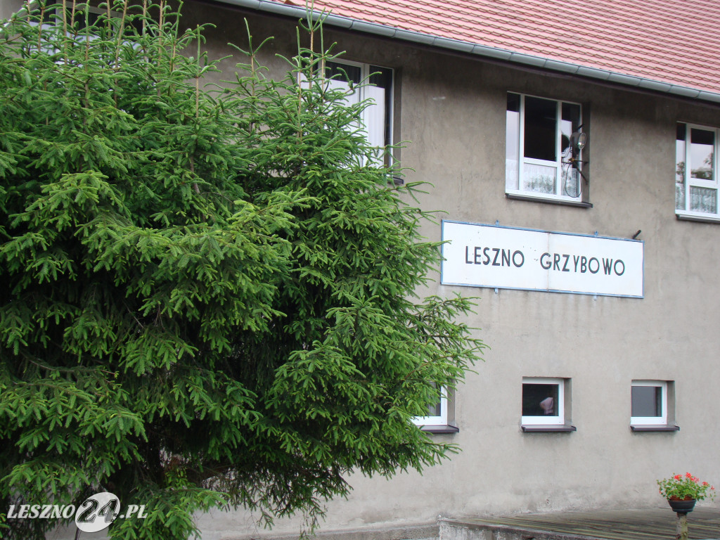 Linia kolejowa Leszno-Krzemieniewo