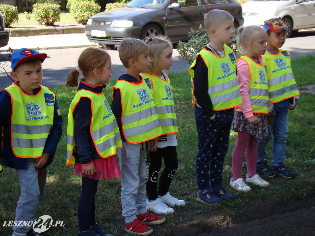 Dzień Przedszkolaka w Przedszkolu nr 20 w Lesznie