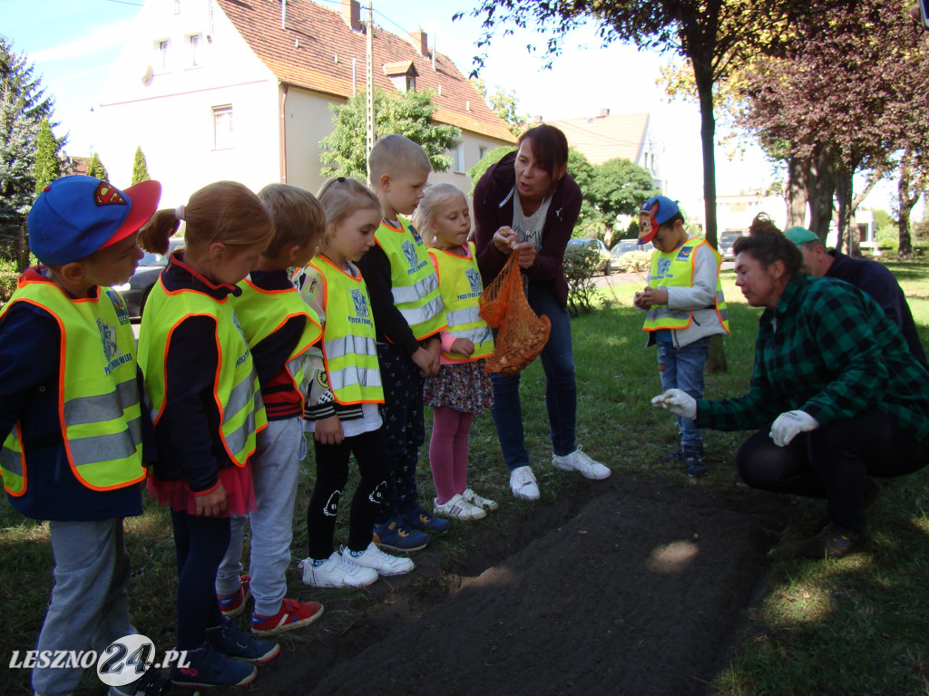 Dzień Przedszkolaka w Przedszkolu nr 20 w Lesznie