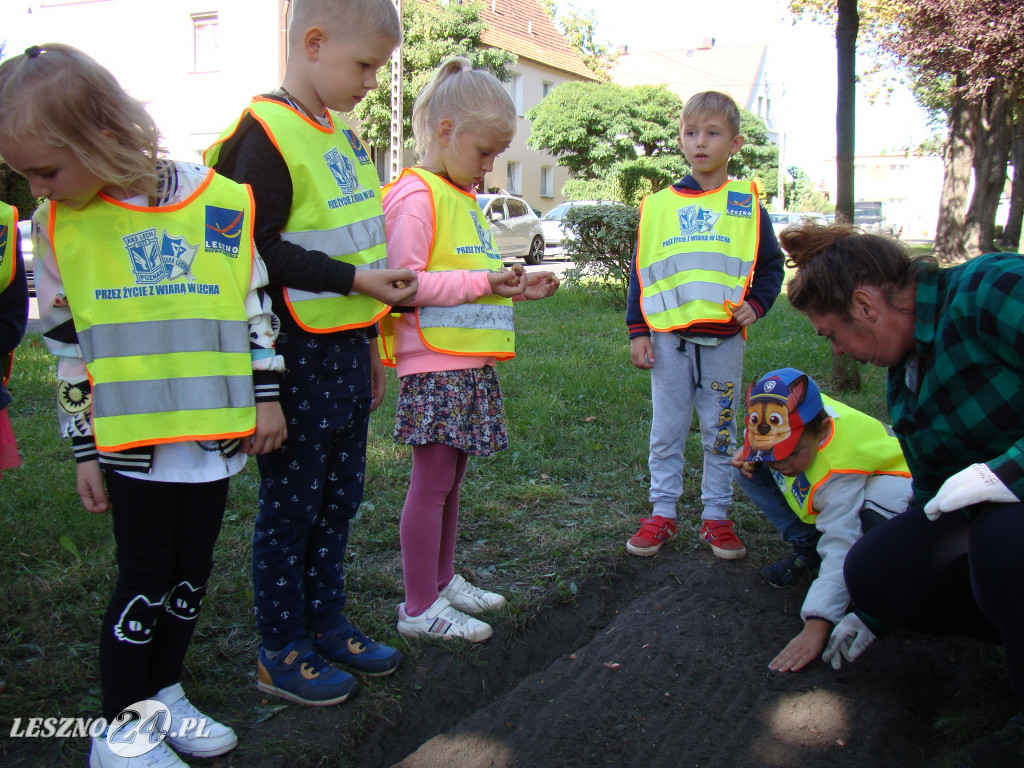 Dzień Przedszkolaka w Przedszkolu nr 20 w Lesznie