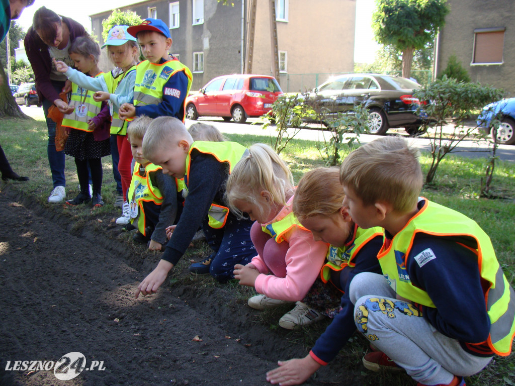 Dzień Przedszkolaka w Przedszkolu nr 20 w Lesznie