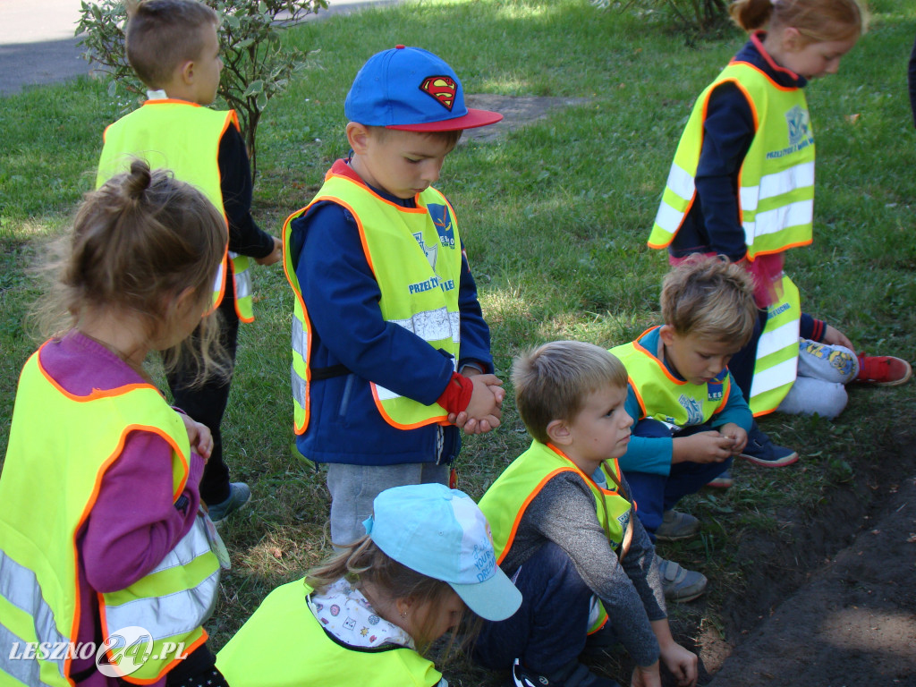 Dzień Przedszkolaka w Przedszkolu nr 20 w Lesznie
