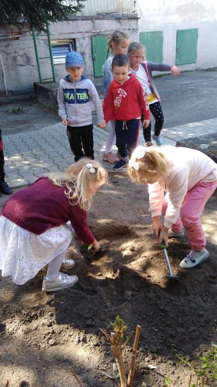 Przedszkole Miejskie nr 3 świętowało!