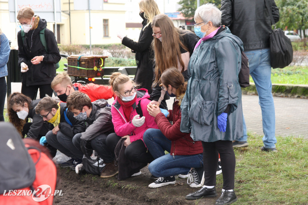 Pole Nadziei znów obsadzone