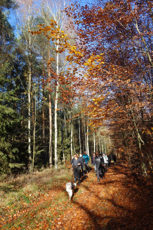 150 marsz z kijkami