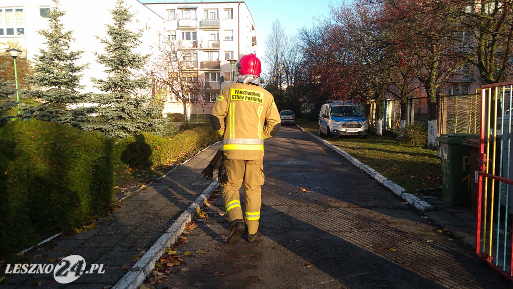 Alarm bombowy w przedszkolu w Lesznie