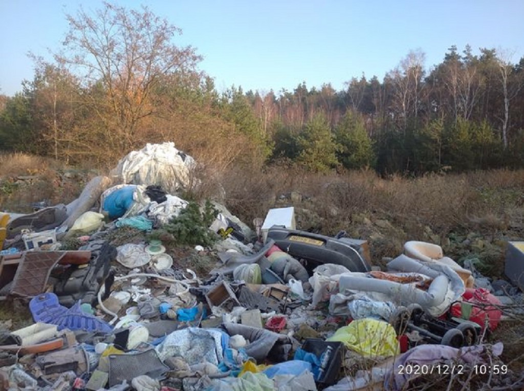 Dzikie wysypisko śmieci w lesie pod Lesznem