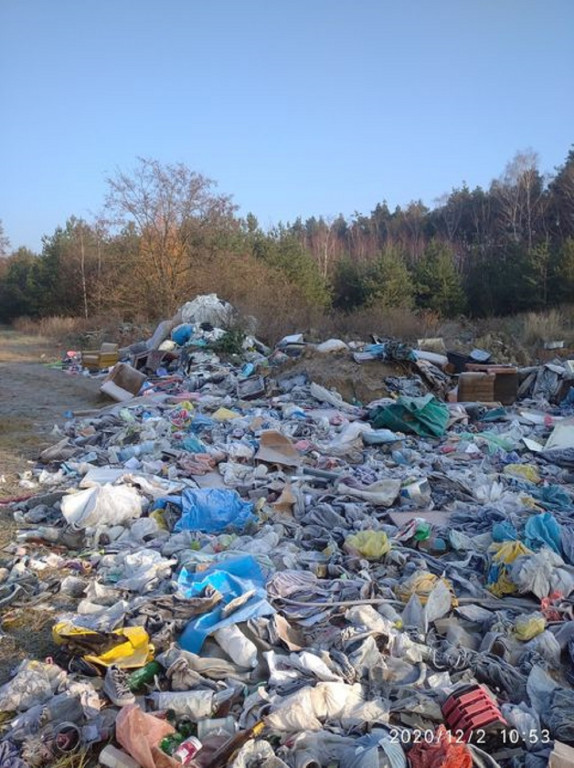 Dzikie wysypisko śmieci w lesie pod Lesznem