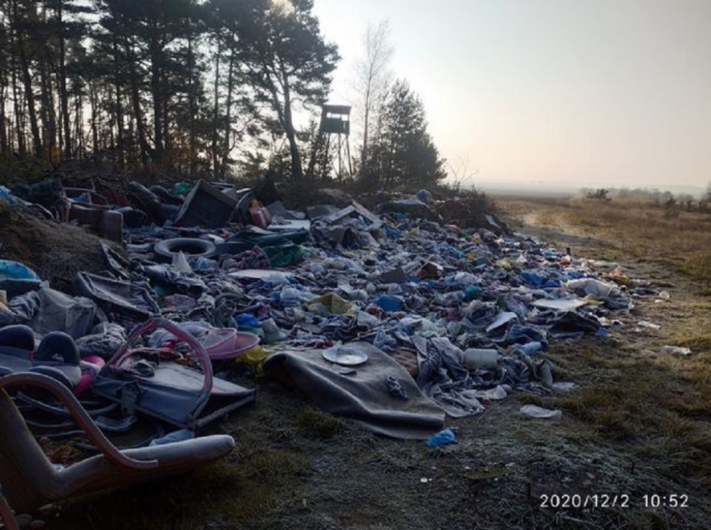 Dzikie wysypisko śmieci w lesie pod Lesznem