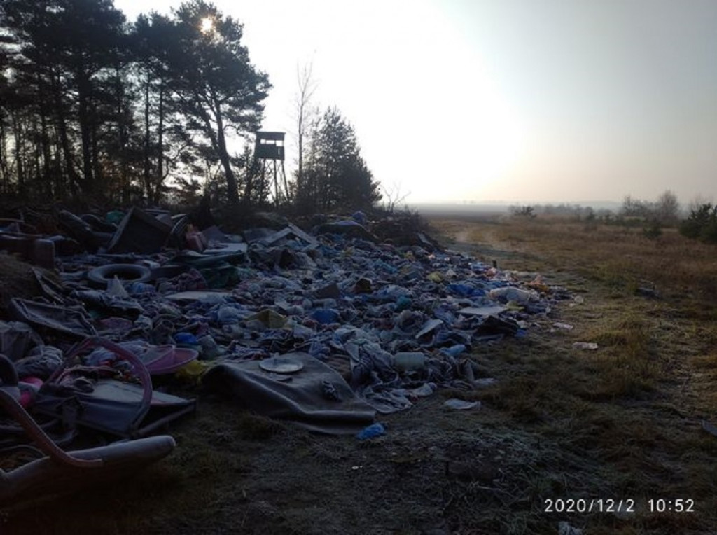 Dzikie wysypisko śmieci w lesie pod Lesznem