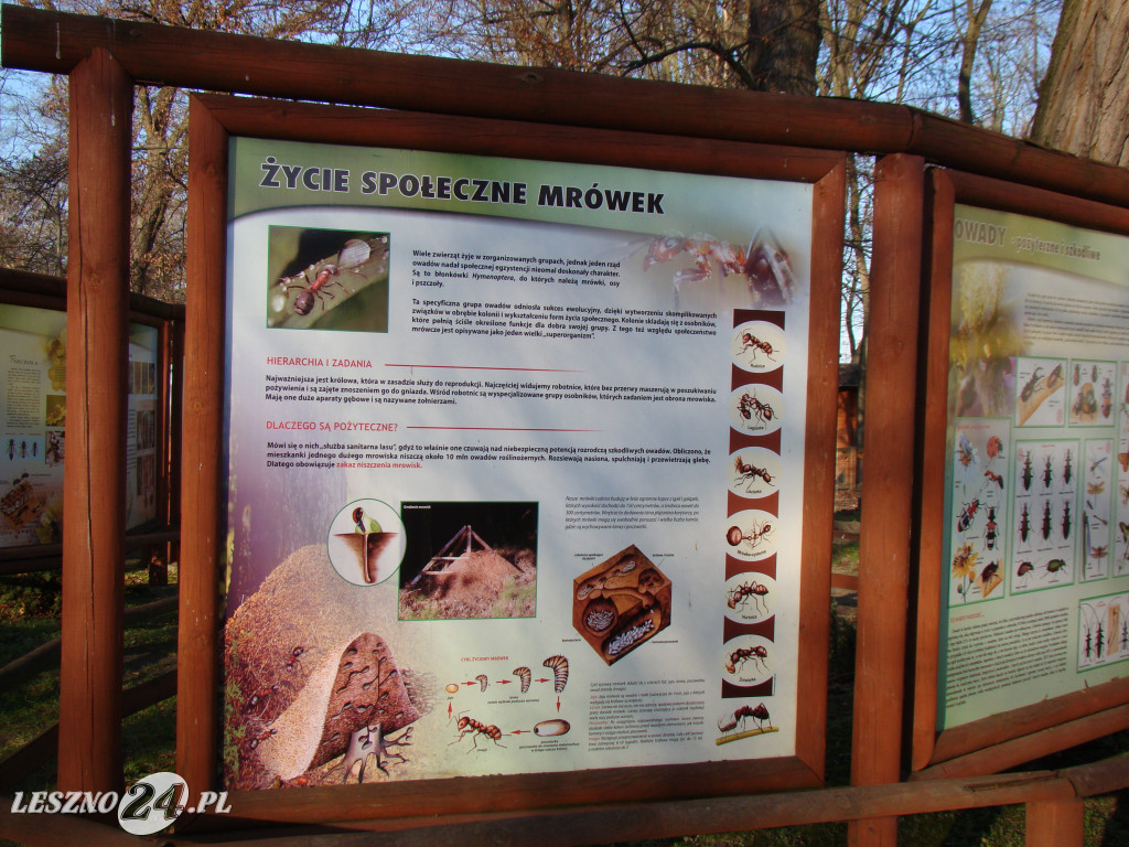 Nowe atrakcje w parku 100-lecia w Lesznie