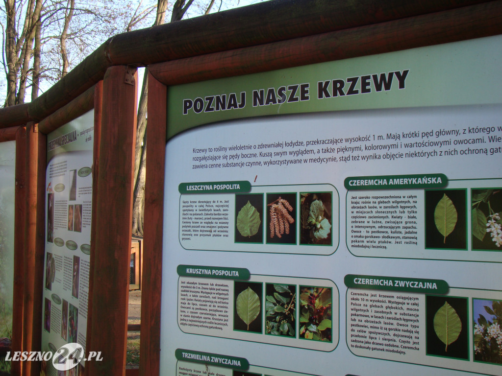 Nowe atrakcje w parku 100-lecia w Lesznie