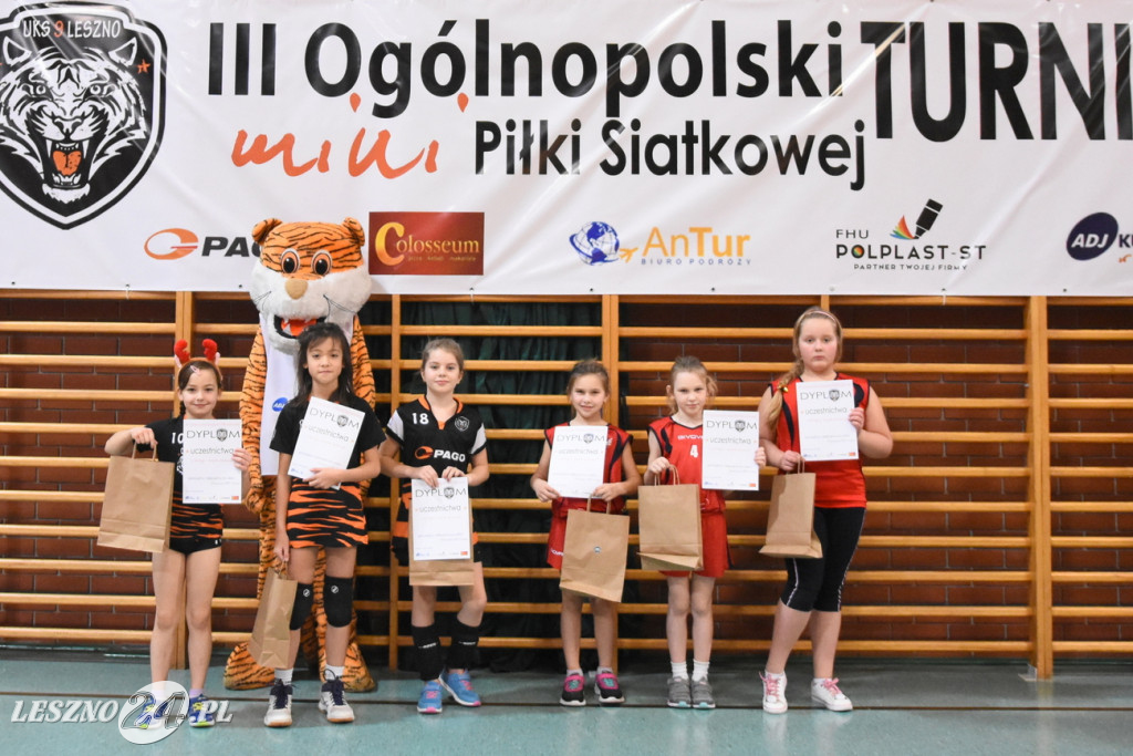 Siatkówka na Zatorzu