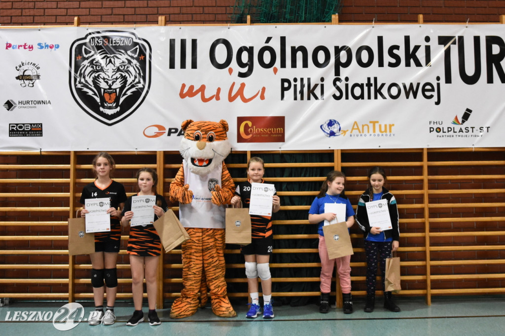 Siatkówka na Zatorzu