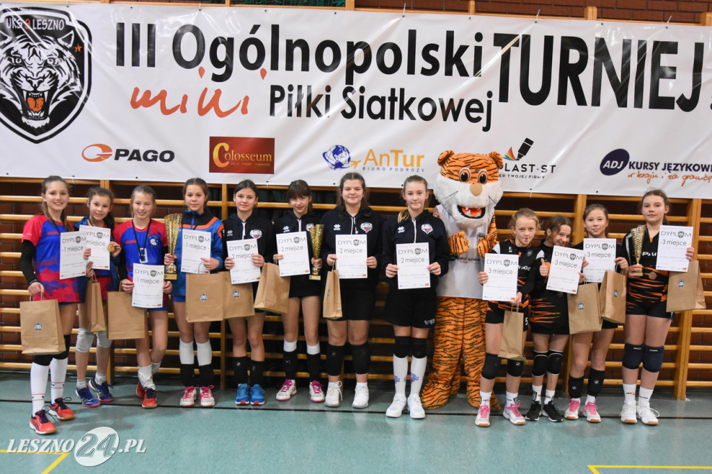 Siatkówka na Zatorzu