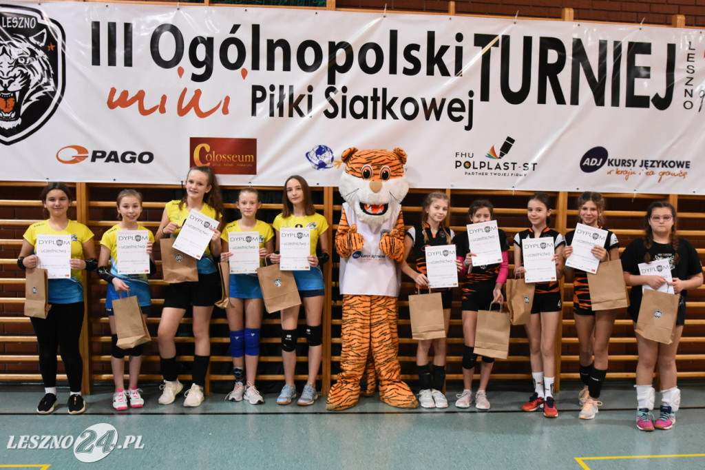 Siatkówka na Zatorzu