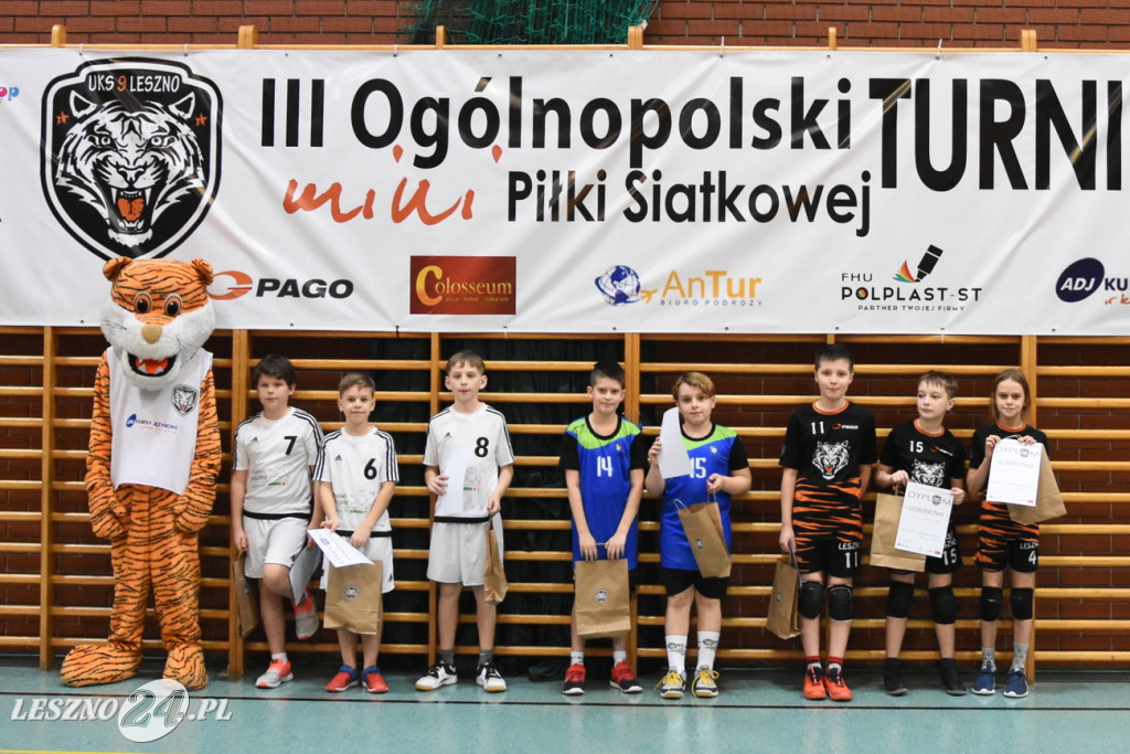 Siatkówka na Zatorzu