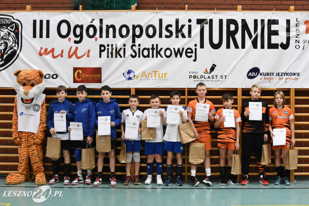 Siatkówka na Zatorzu