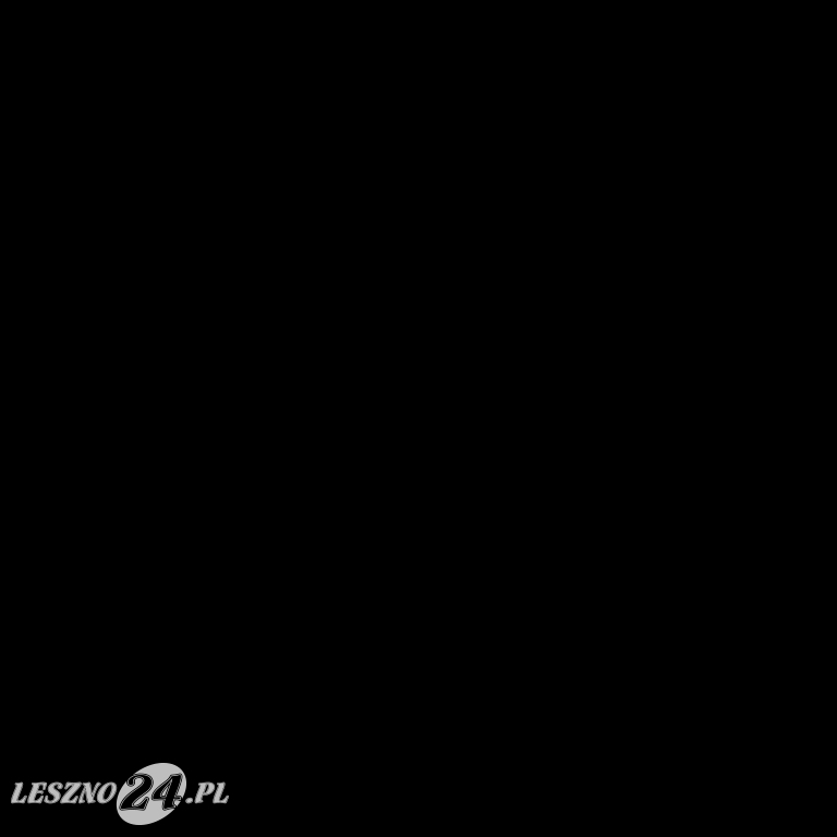 Akcja strażaków w WORD w Lesznie