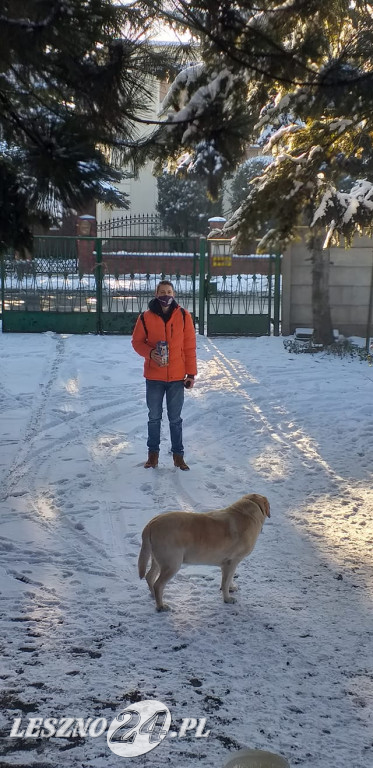 Wolontariusze WOŚP 2021 w Lesznie i powiecie
