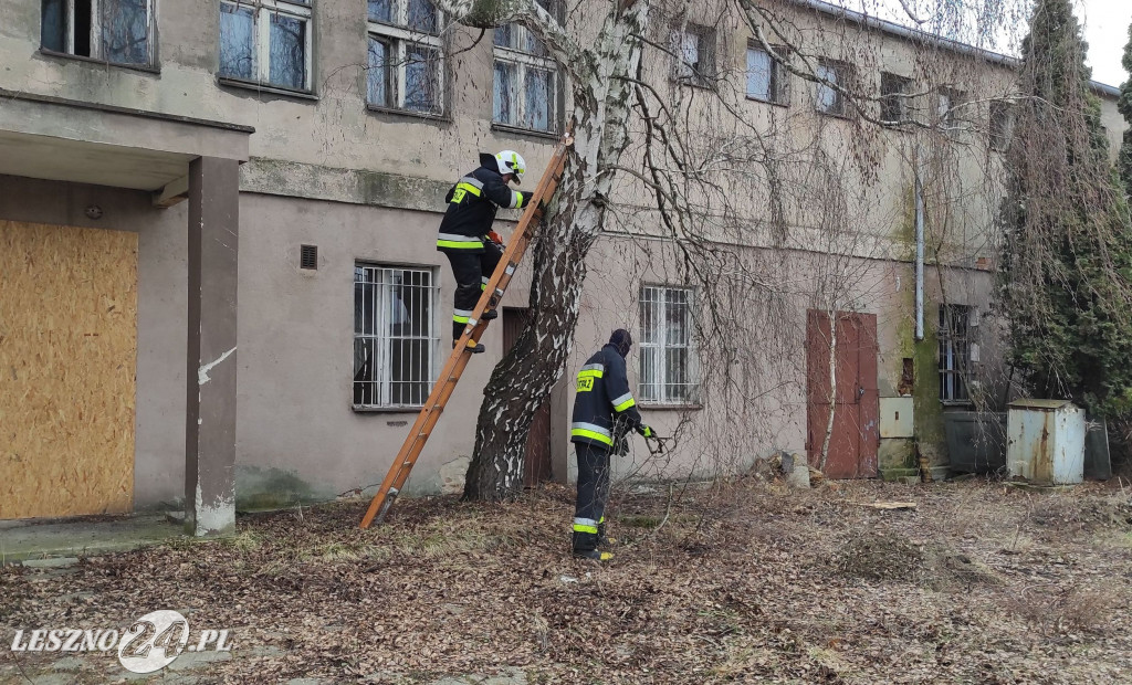 OSP Leszno Gronowo pomaga stowarzyszeniu