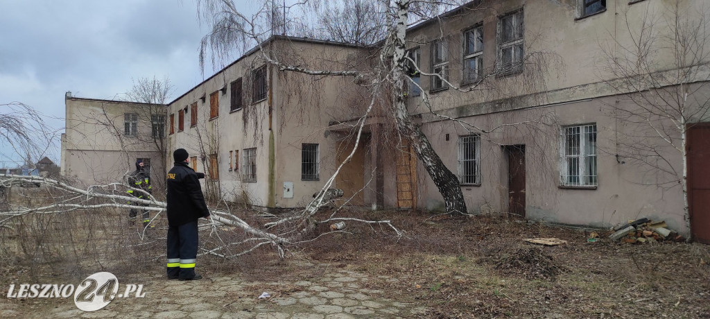 OSP Leszno Gronowo pomaga stowarzyszeniu