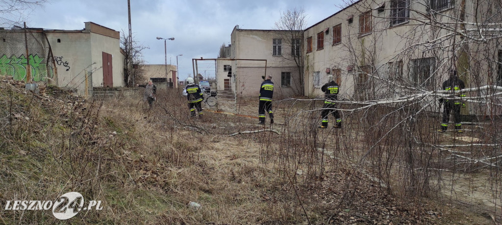 OSP Leszno Gronowo pomaga stowarzyszeniu