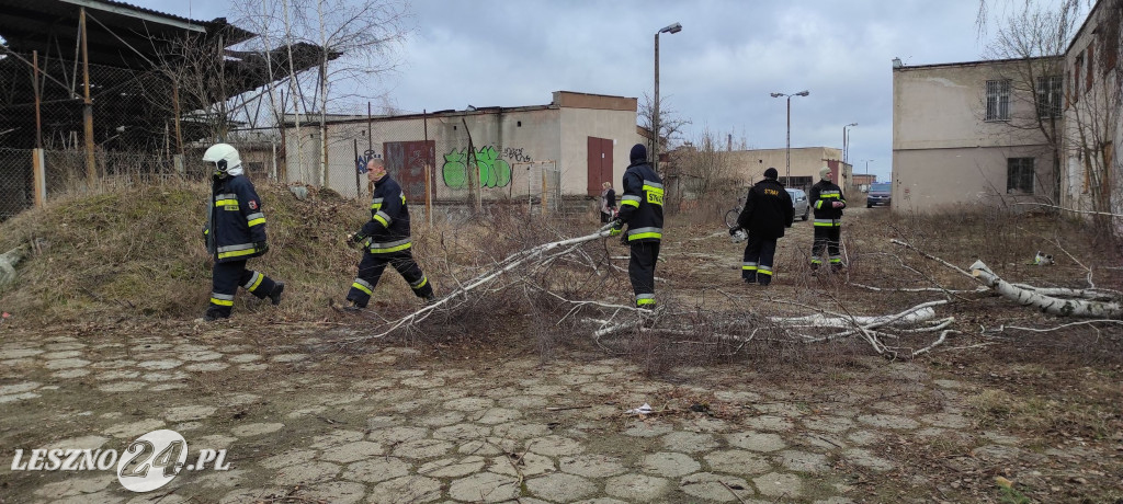 OSP Leszno Gronowo pomaga stowarzyszeniu