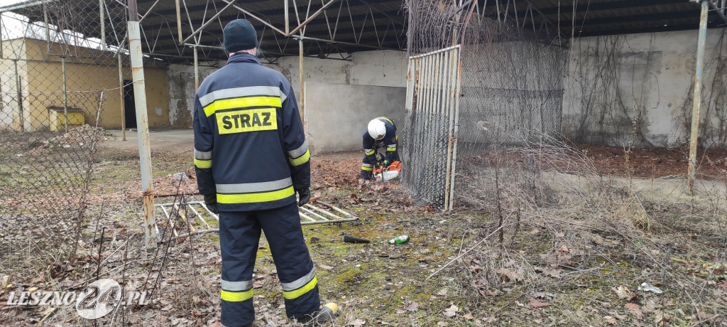 OSP Leszno Gronowo pomaga stowarzyszeniu