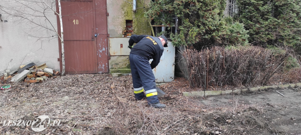 OSP Leszno Gronowo pomaga stowarzyszeniu