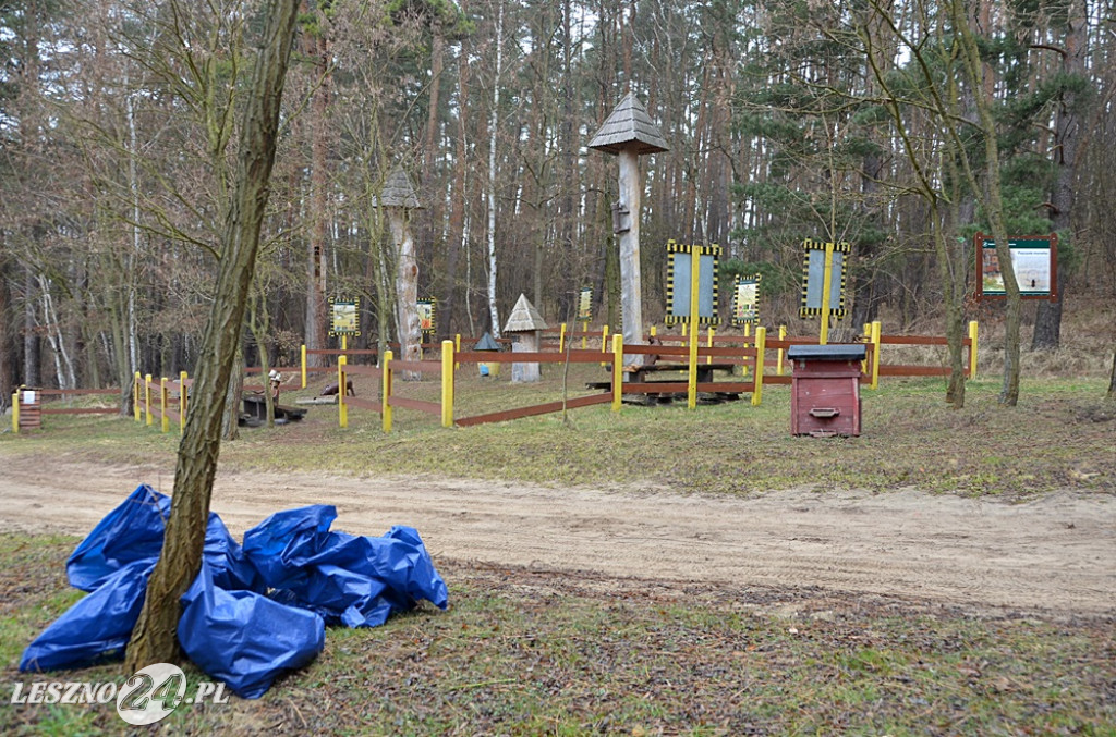 Sprzątanie Jaru Mórkowskiego