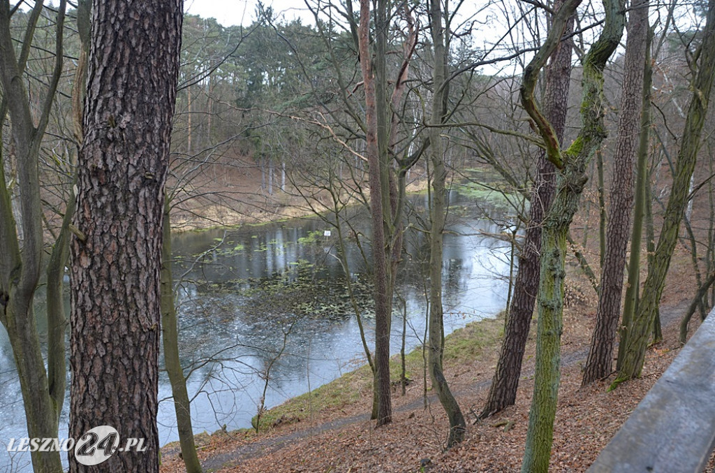 Sprzątanie Jaru Mórkowskiego