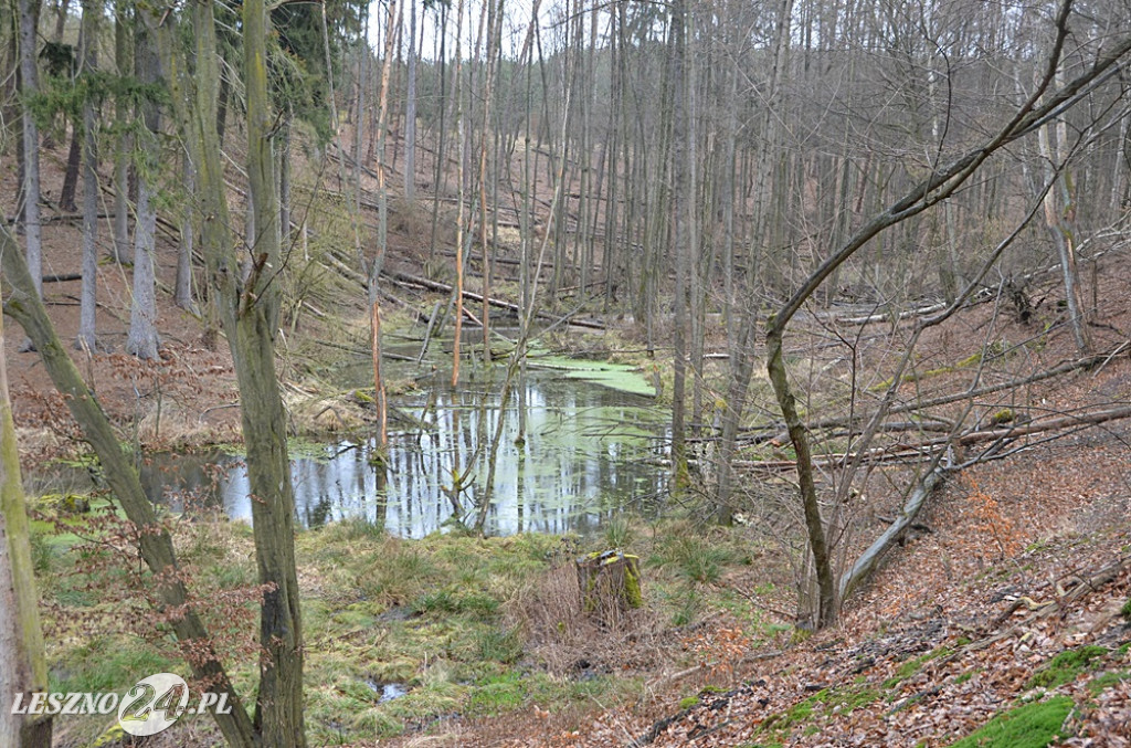 Sprzątanie Jaru Mórkowskiego