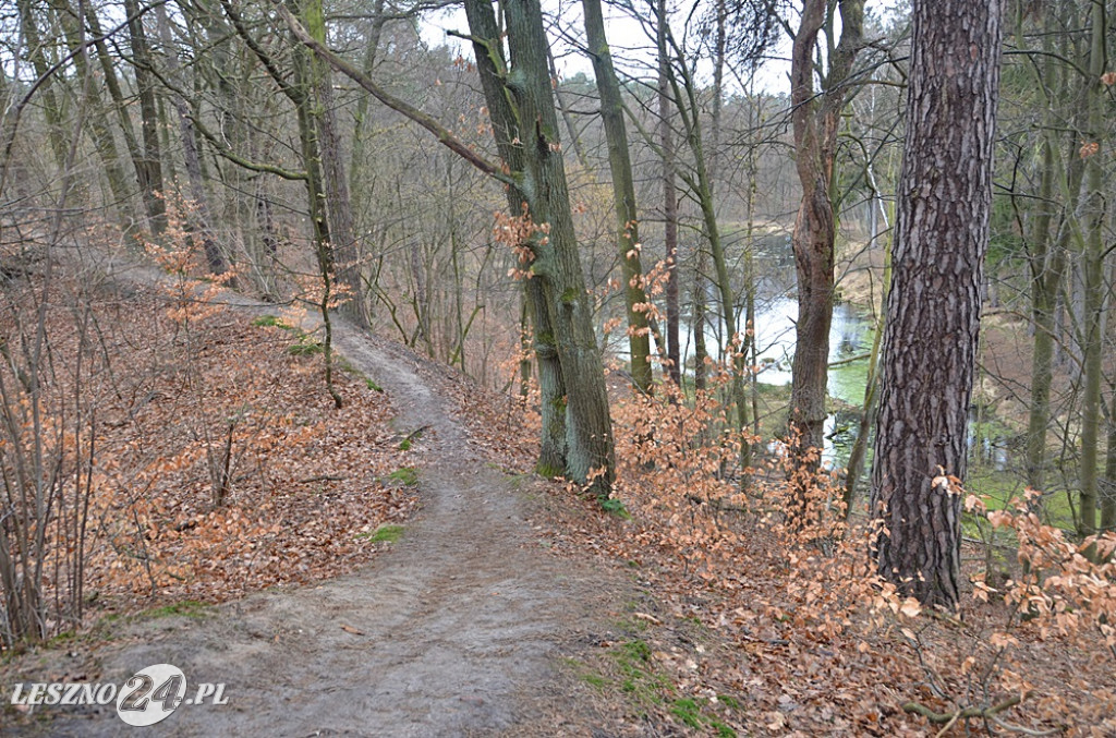 Sprzątanie Jaru Mórkowskiego