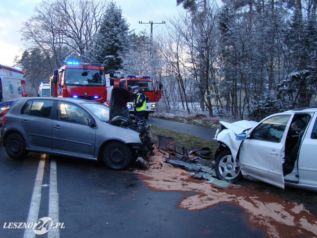 Tragiczny wypadek na trasie Leszno-Nowy Świat