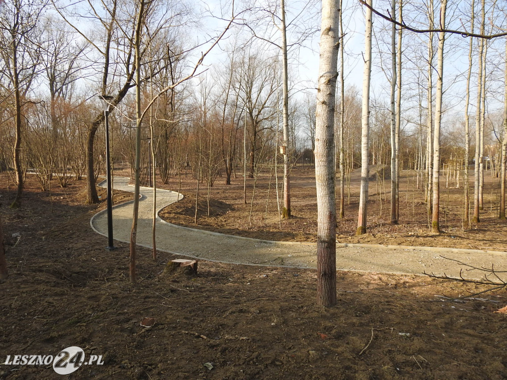 Powstaje nowy park