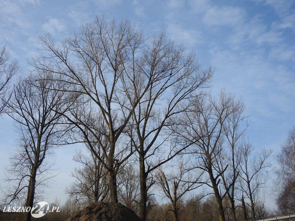Powstaje nowy park