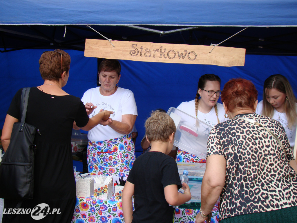Piknik Polonijny w Lesznie, 10 lipca 2021