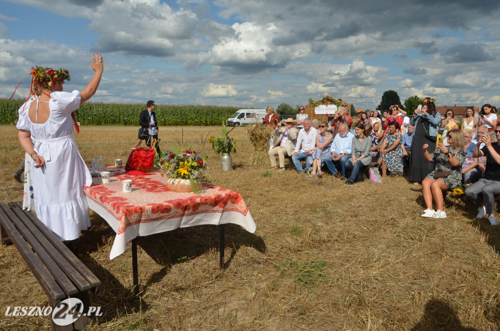 Promocja książki 