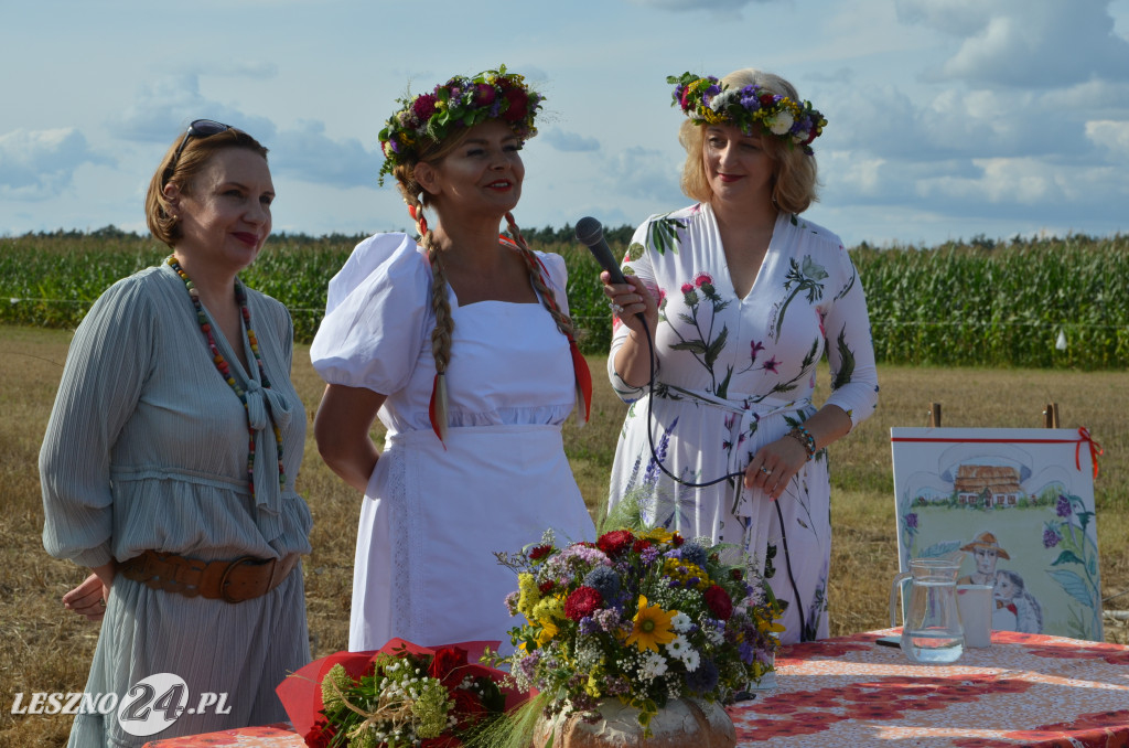 Promocja książki 