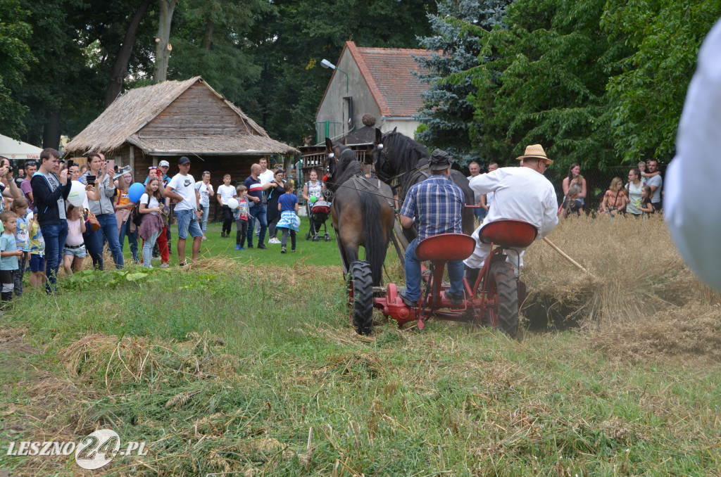 XIX Ogólnopolski Festiwal Starych Ciągników i Maszyn Rolniczych