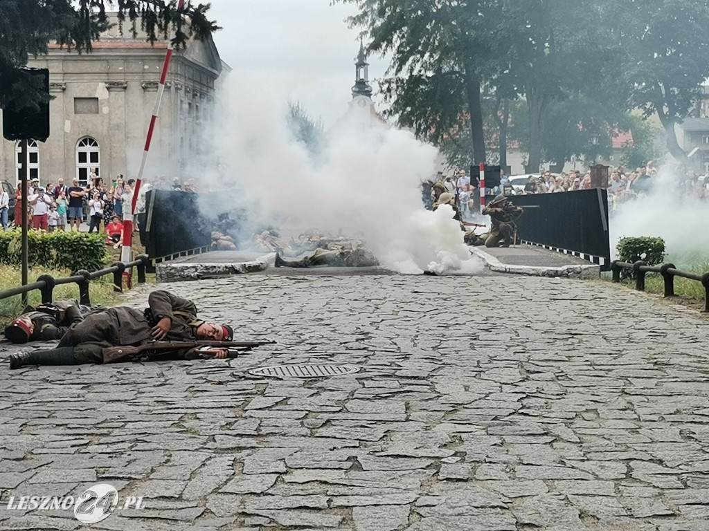 Piknik Militarny w Rydzynie