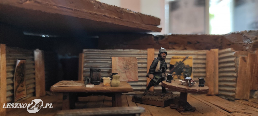Piknik Militarny w Rydzynie