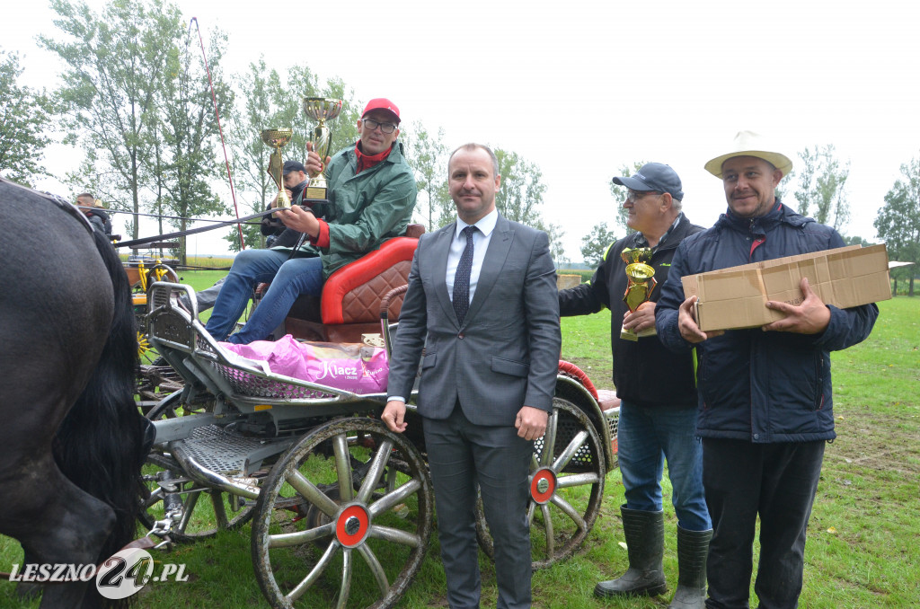 Zawody w powożeniu w Wilkowicach