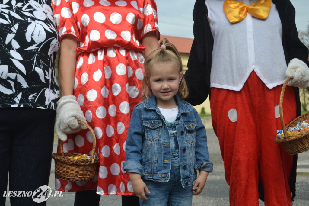 Festyn i szczepienia w Pawłowicach