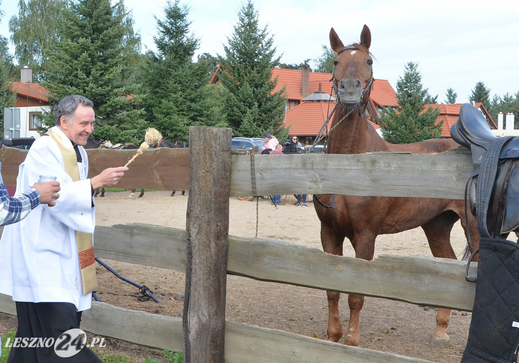 Hubertus Wilkowice 2021